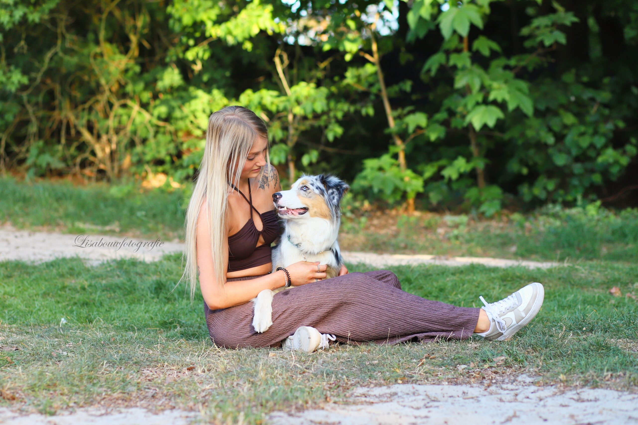 honden fotograaf