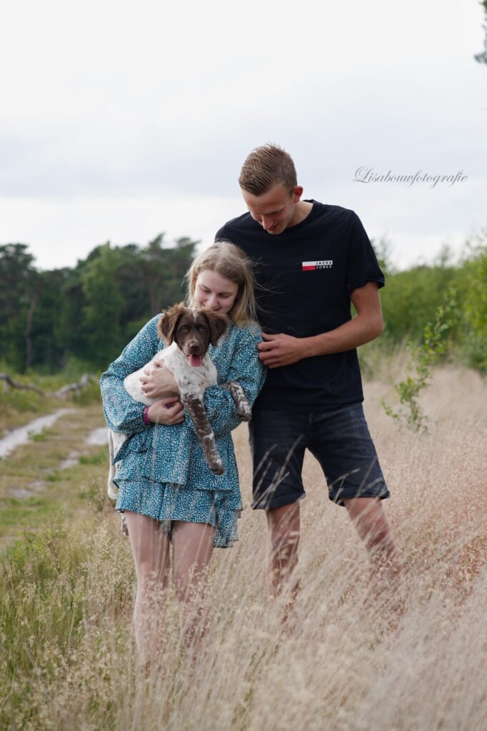 honden fotoshoot